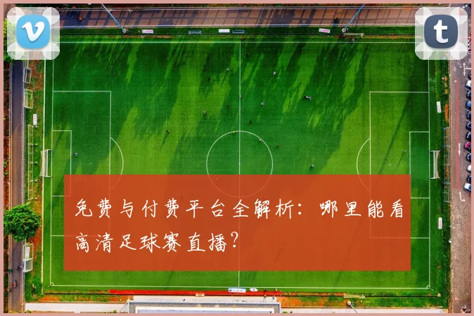 免费与付费平台全解析：哪里能看高清足球赛直播？