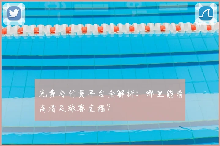免费与付费平台全解析：哪里能看高清足球赛直播？